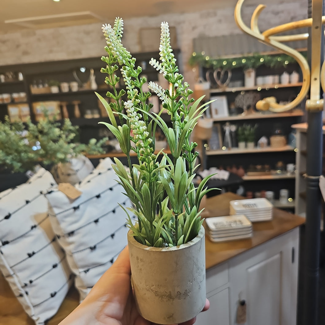 Faux plant in cement pot
