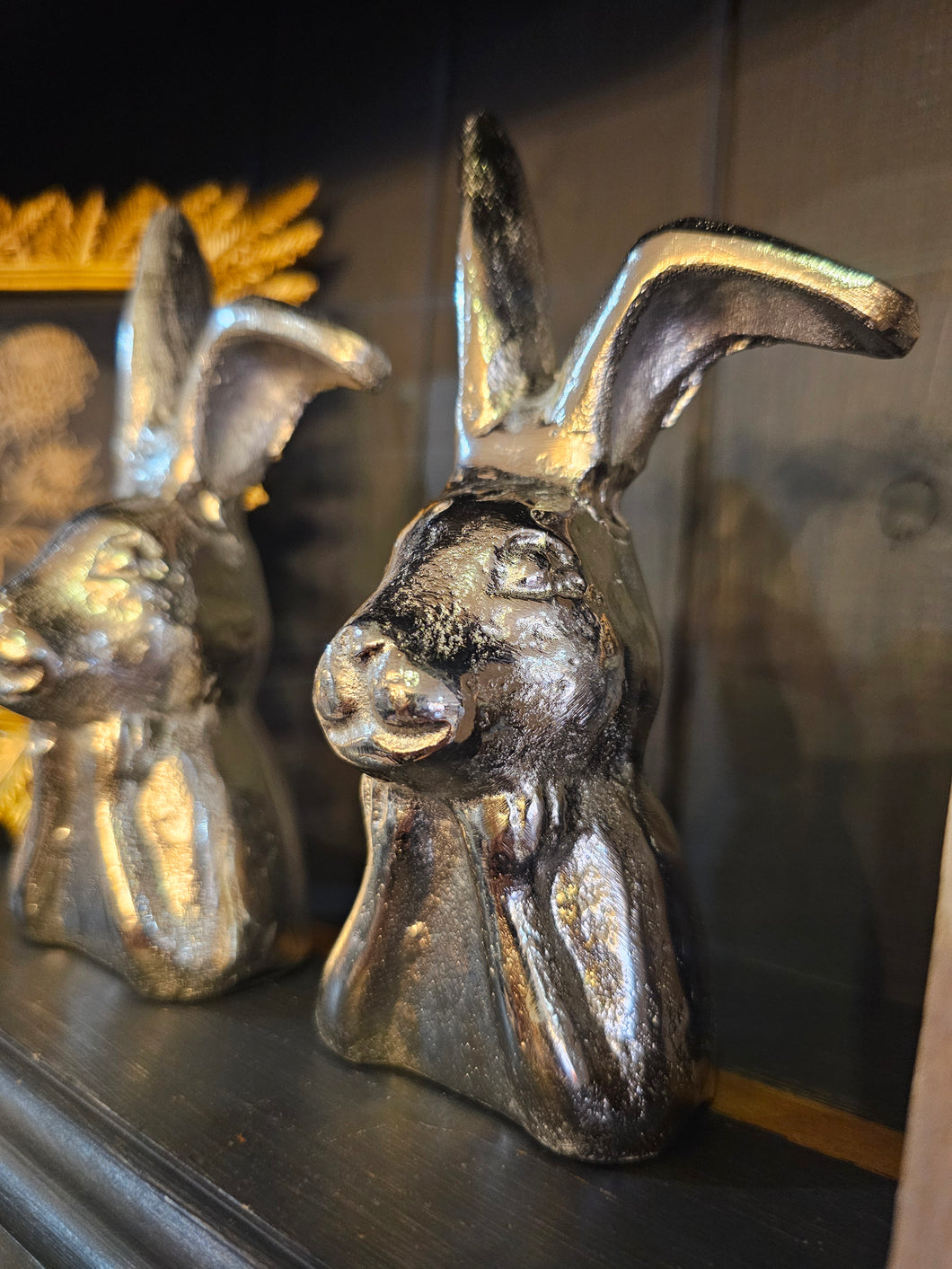 Silver hare