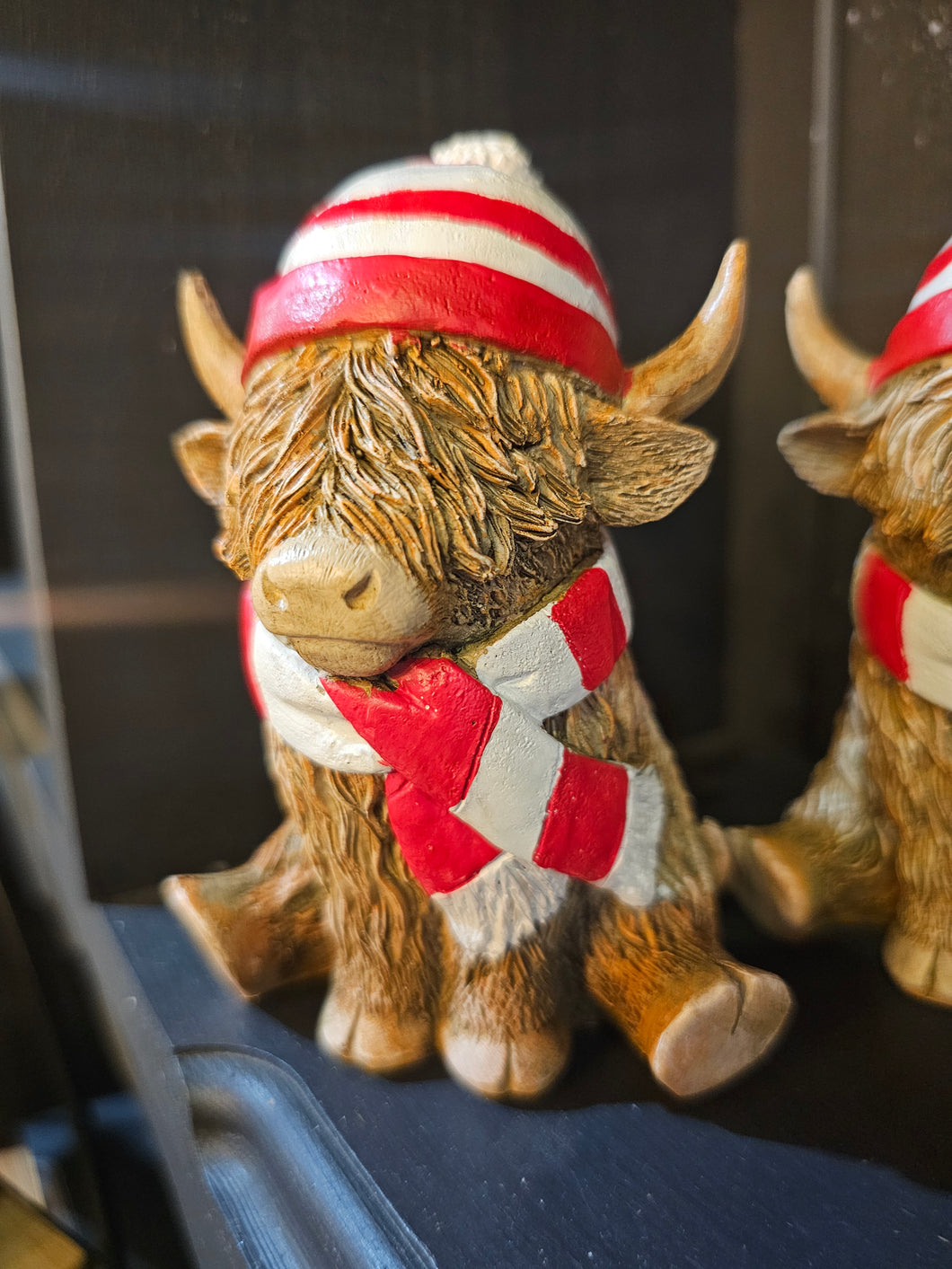 Highland Cow- red & white